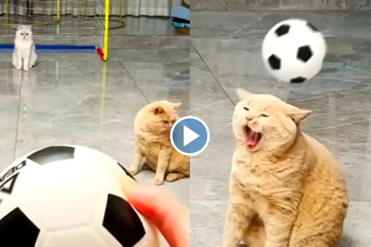 Viral video