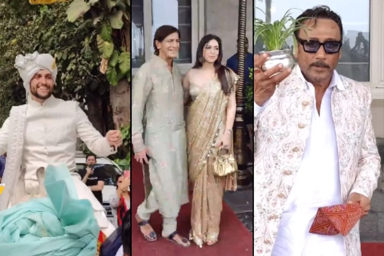 Alanna Panday wedding