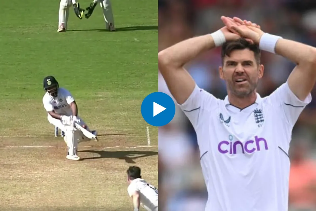 Cricket Viral Video