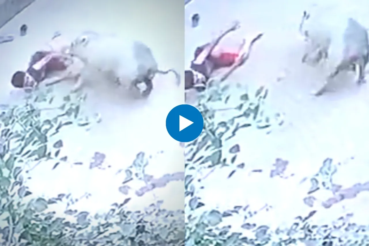 Viral Video