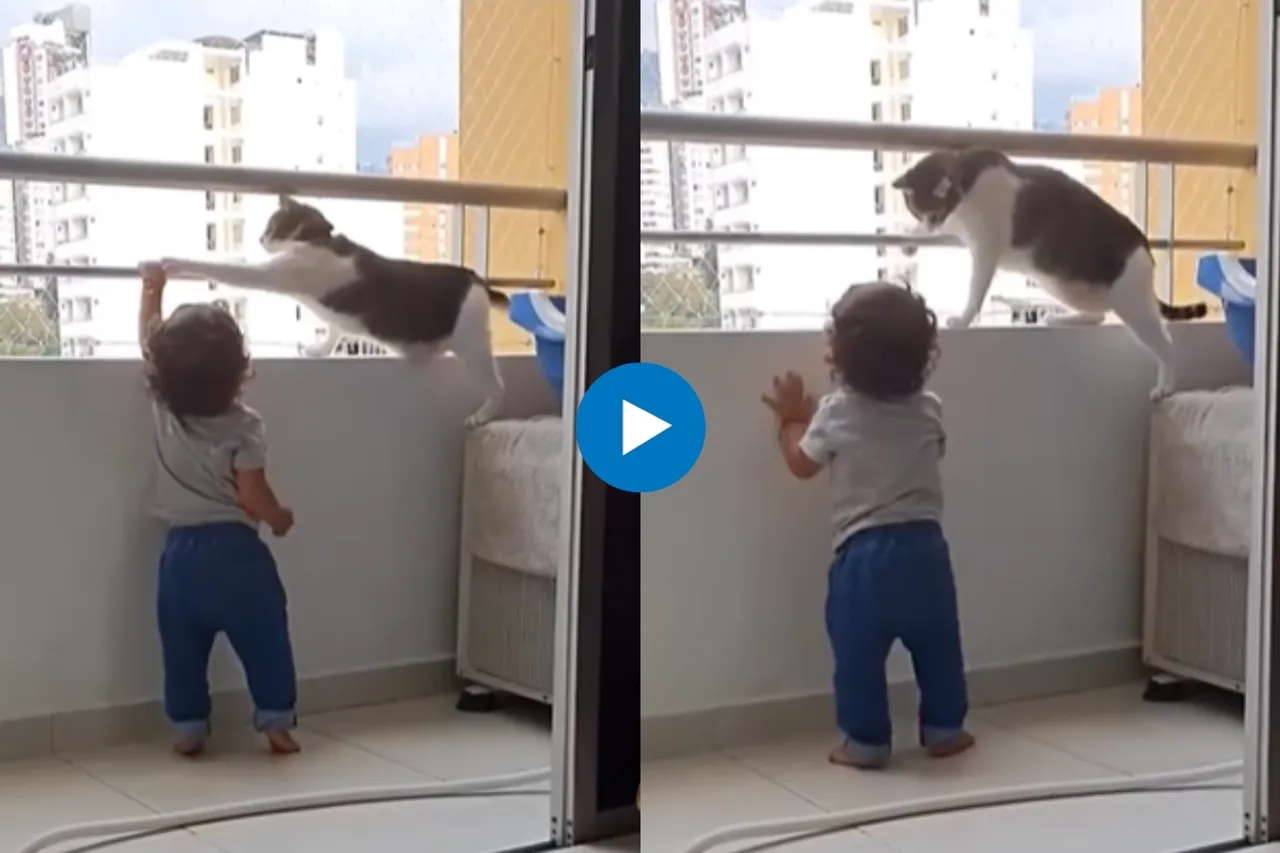 Viral Video