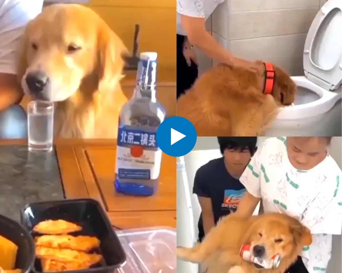 Viral Video