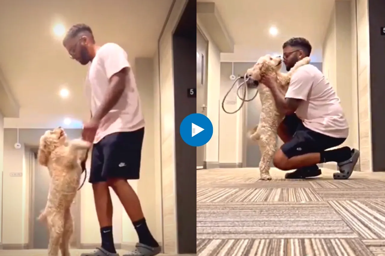 Viral Video
