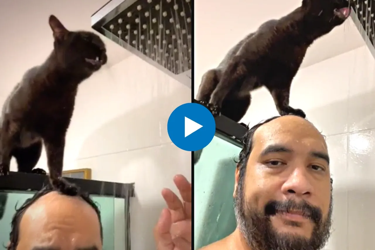 Viral Video