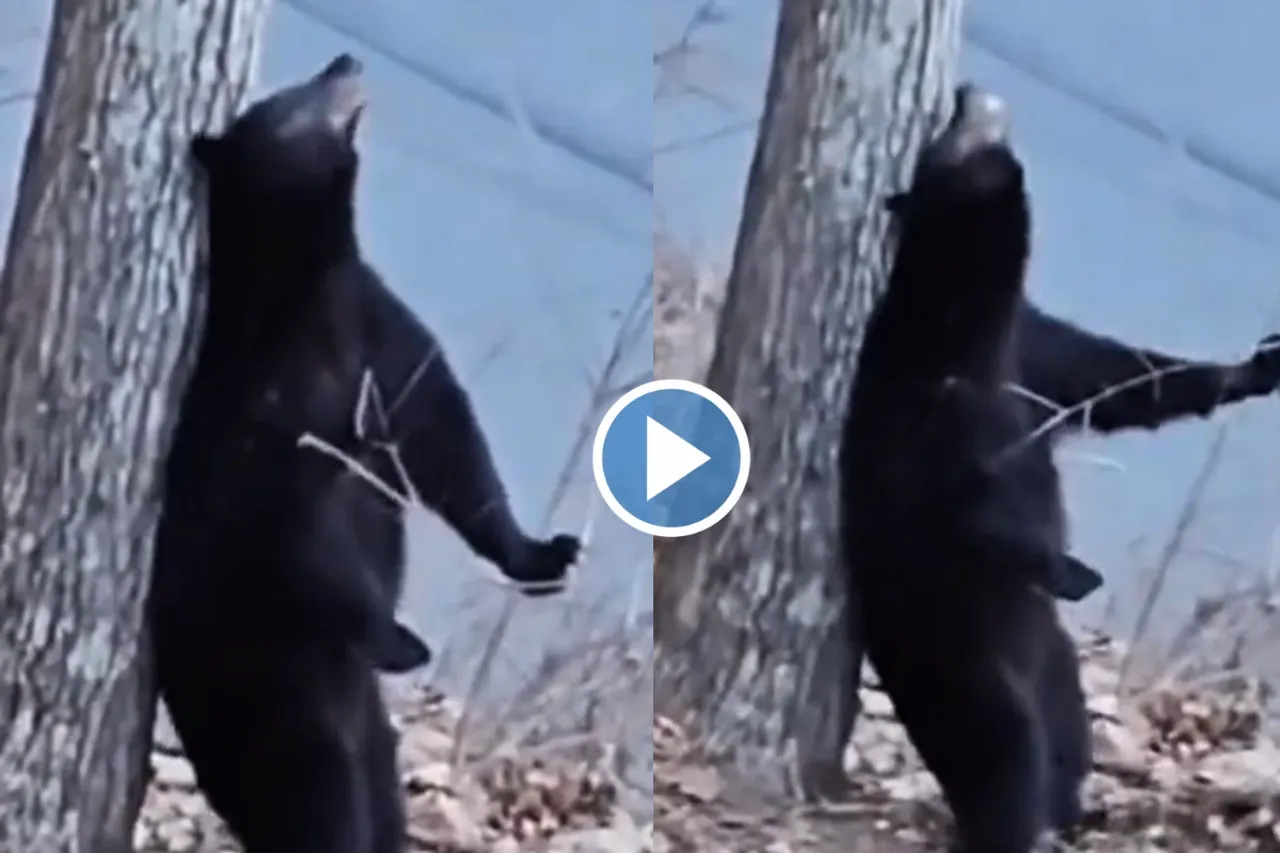 Viral video