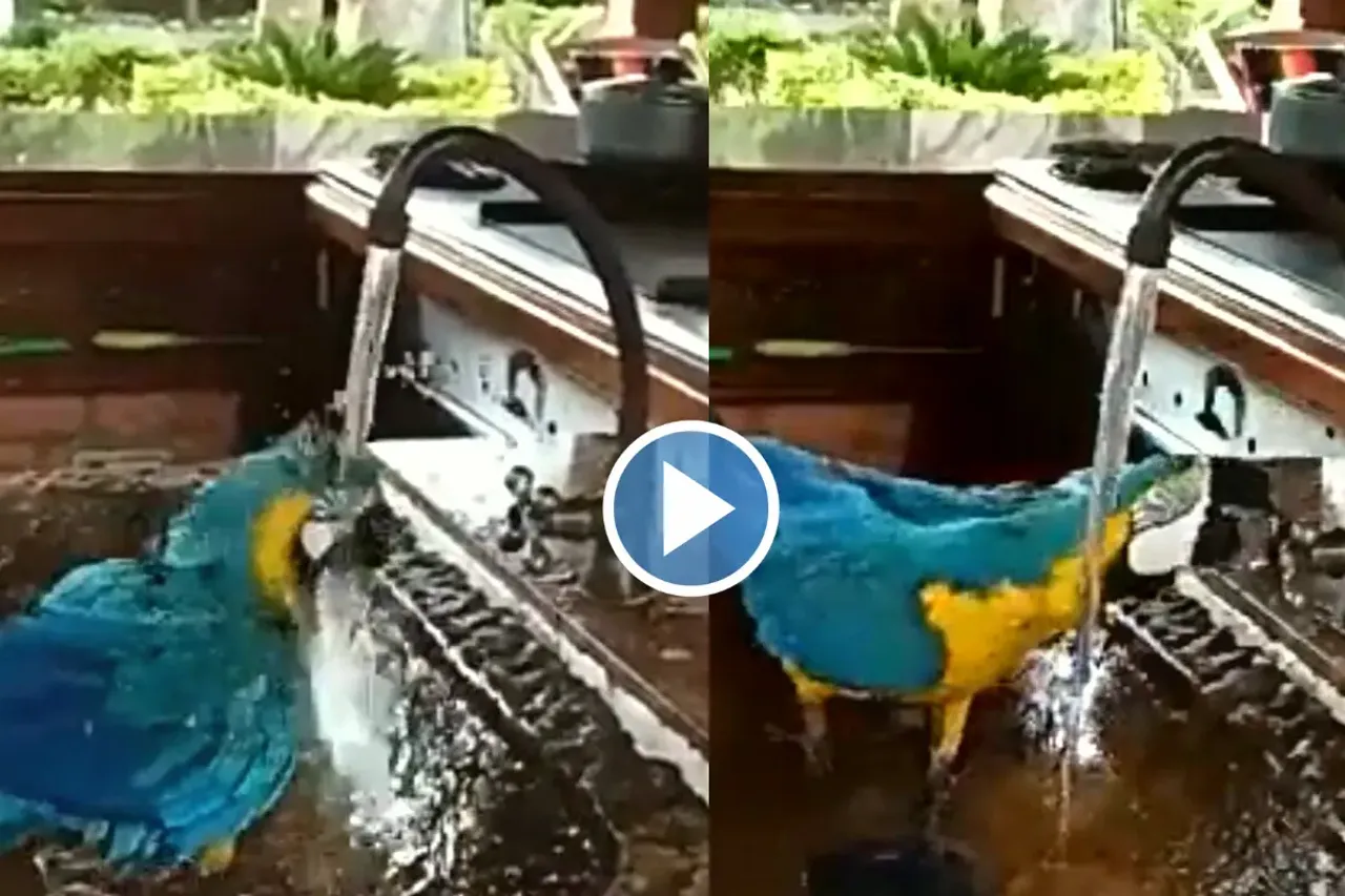 Viral video