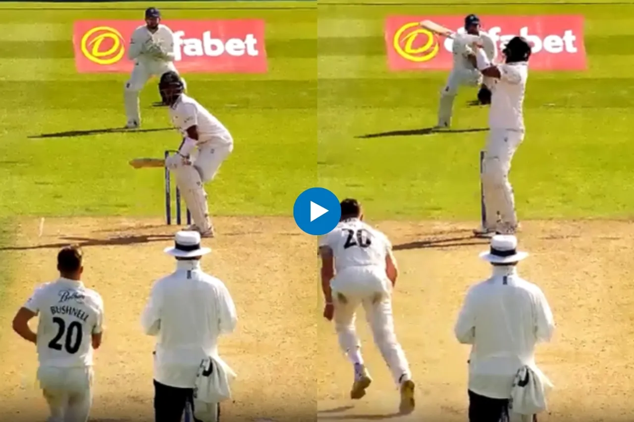 Cricket Viral Video