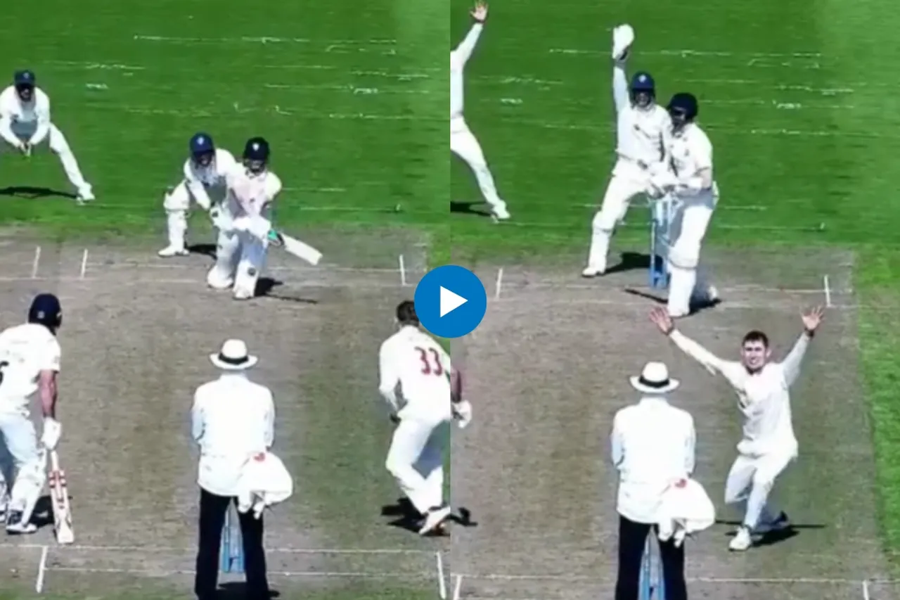 Cricket Viral Video