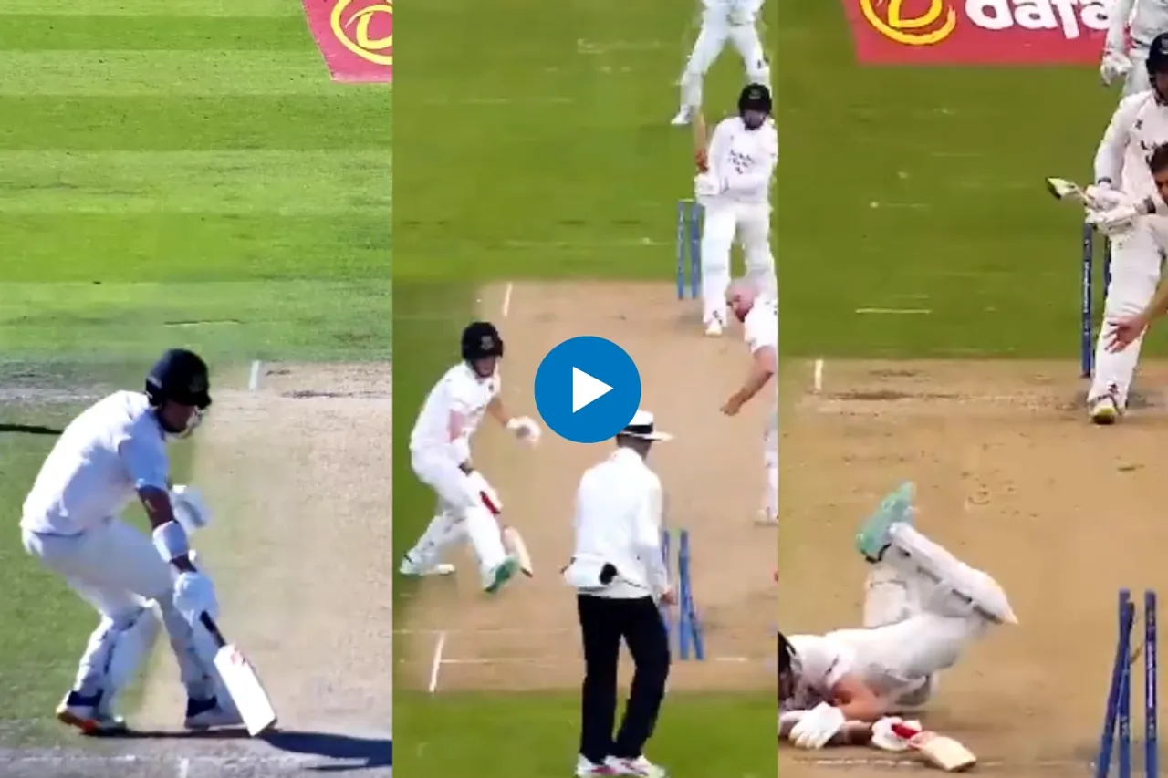 Cricket Viral Video