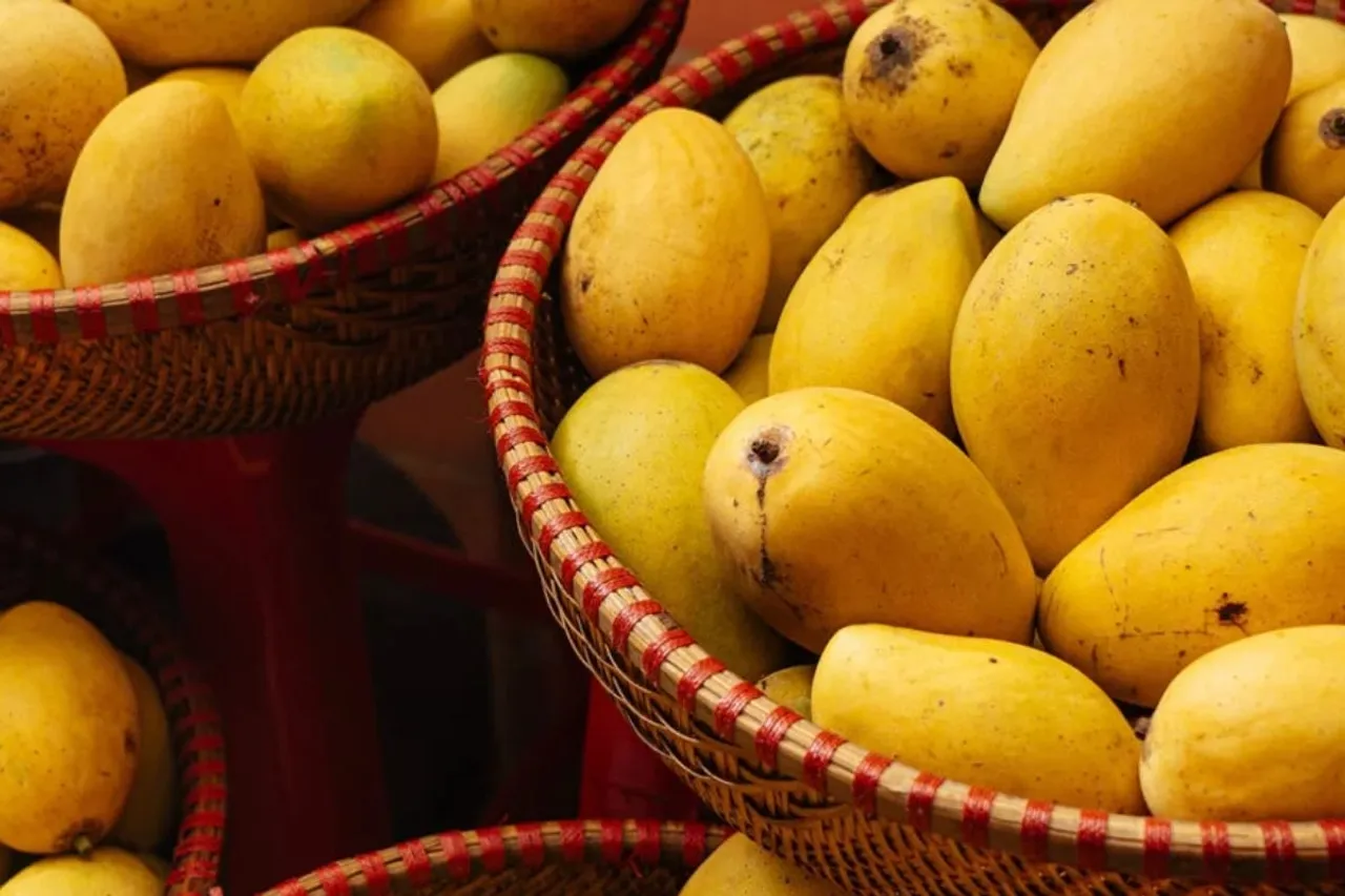 Mango