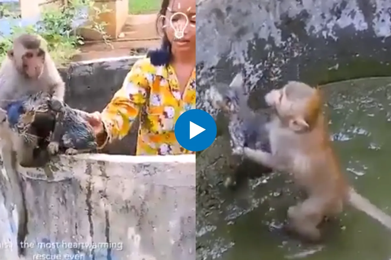 Viral Video
