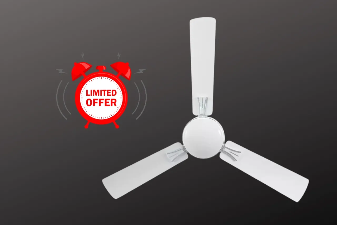 Flipkart Sale