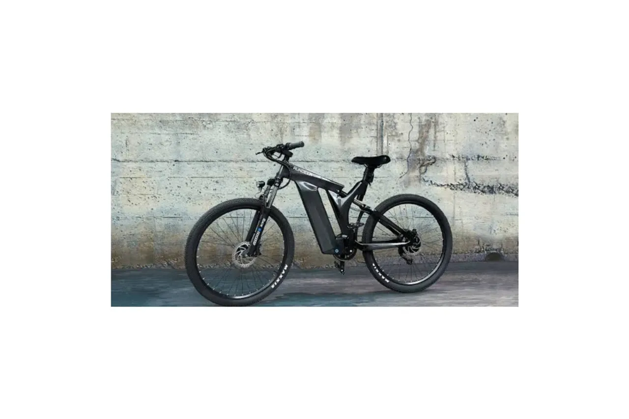 RunDeer Starry Sky EV Bike