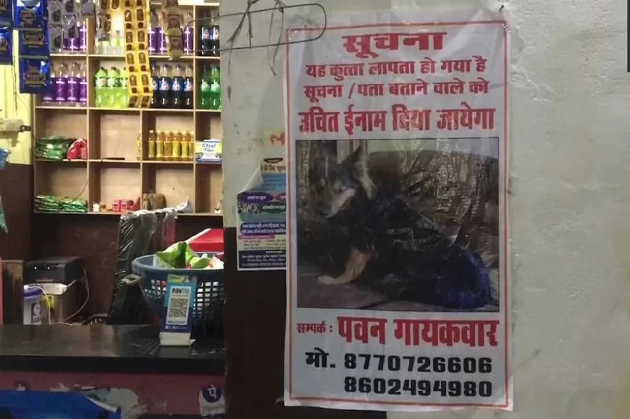 Gwalior IAS pet dog