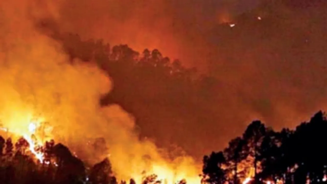 Forest fires