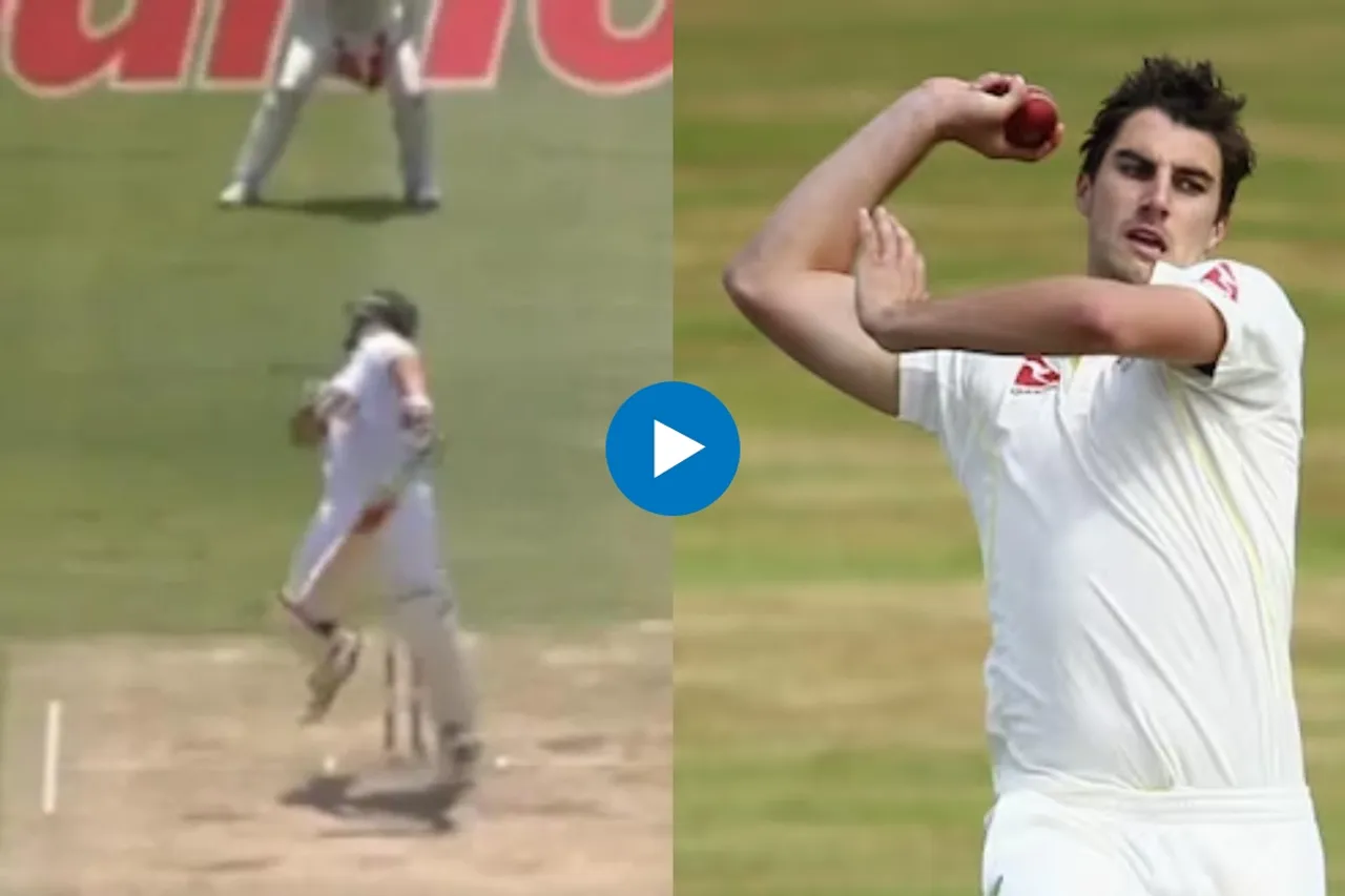 Cricket Viral Video