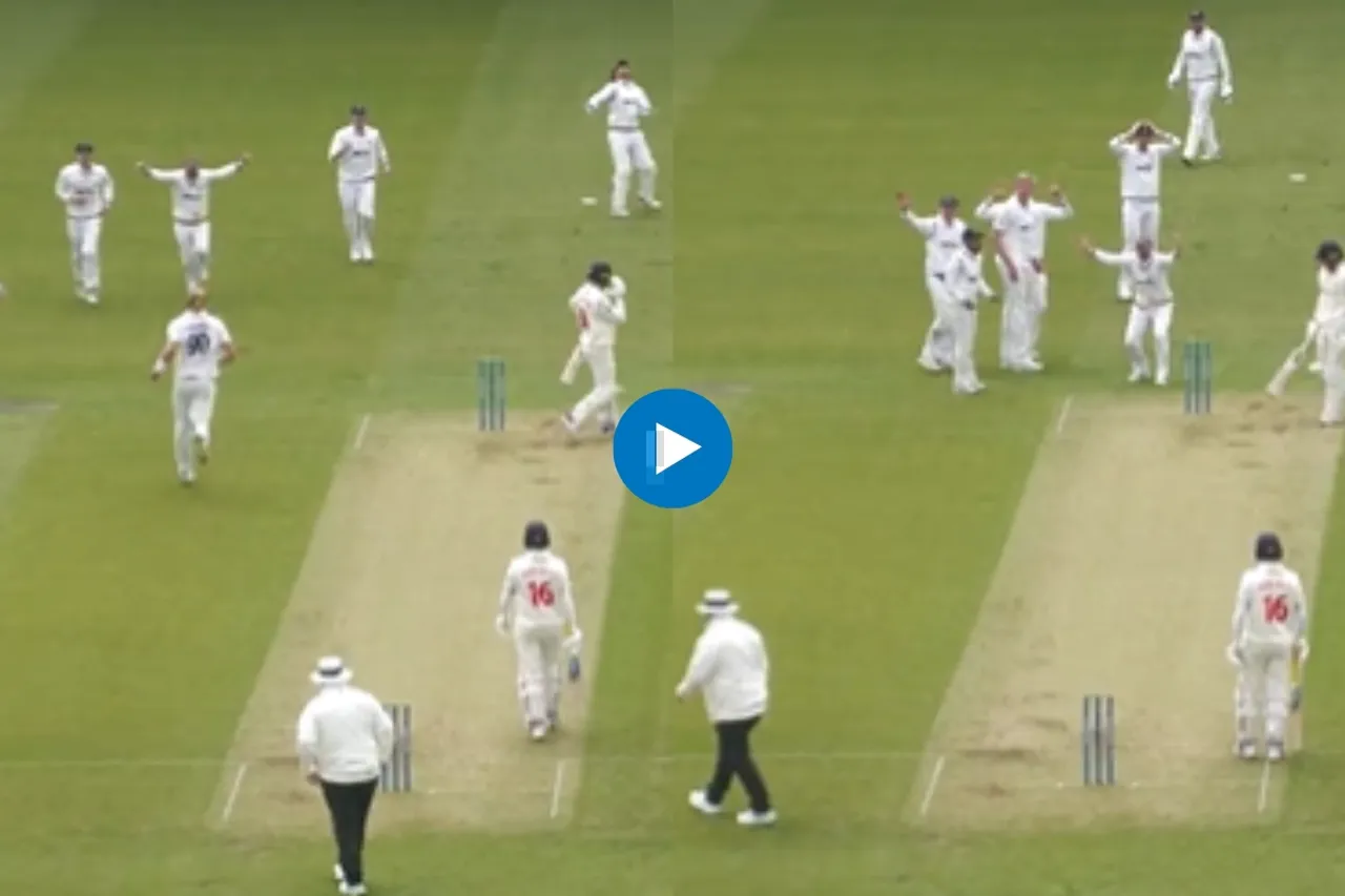 Cricket Viral Video