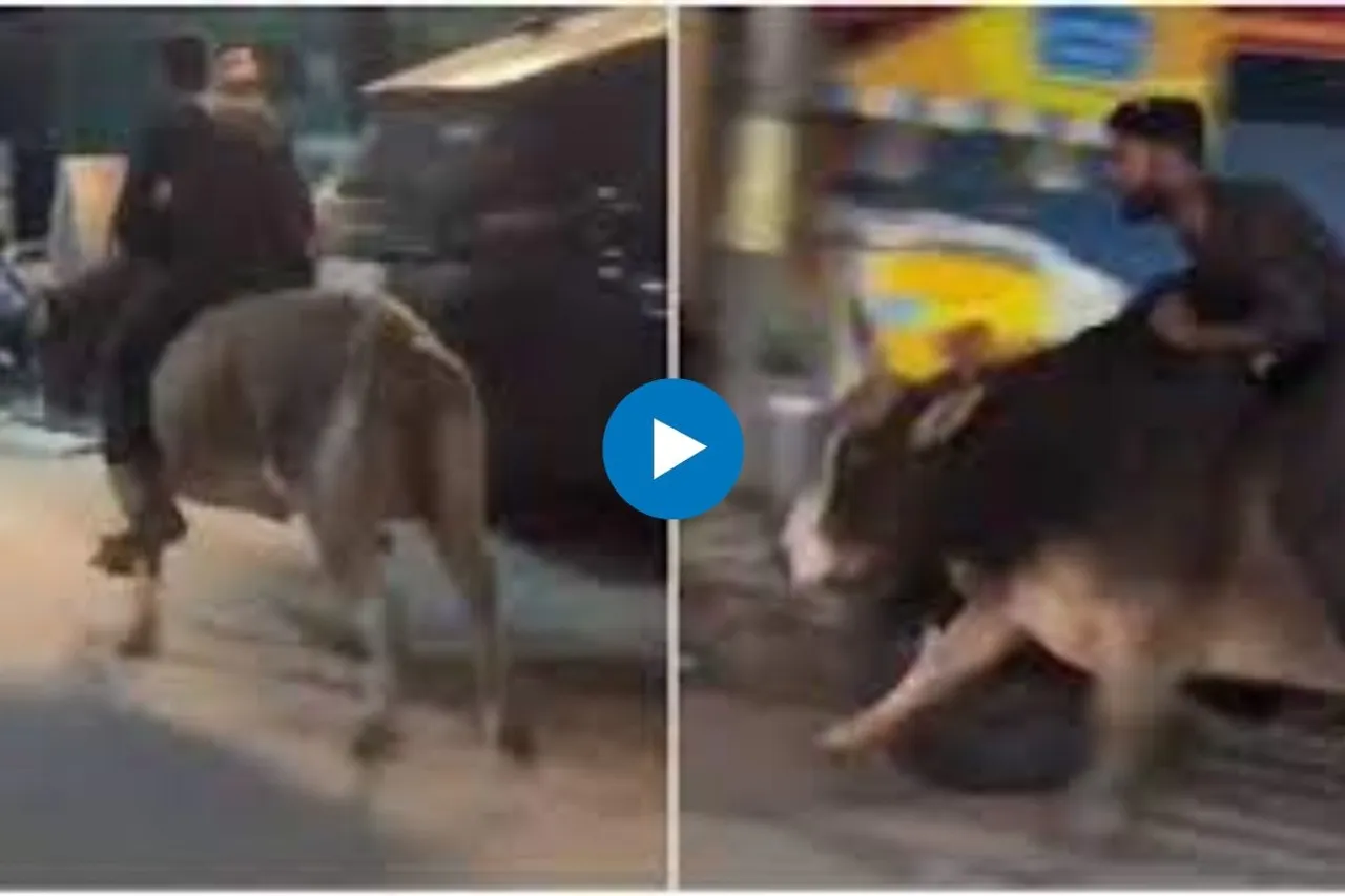 Viral Video