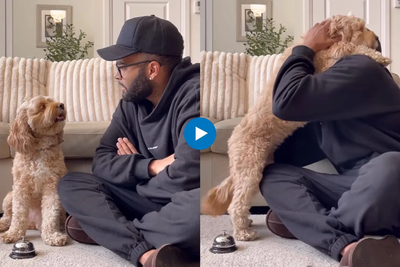 Viral video