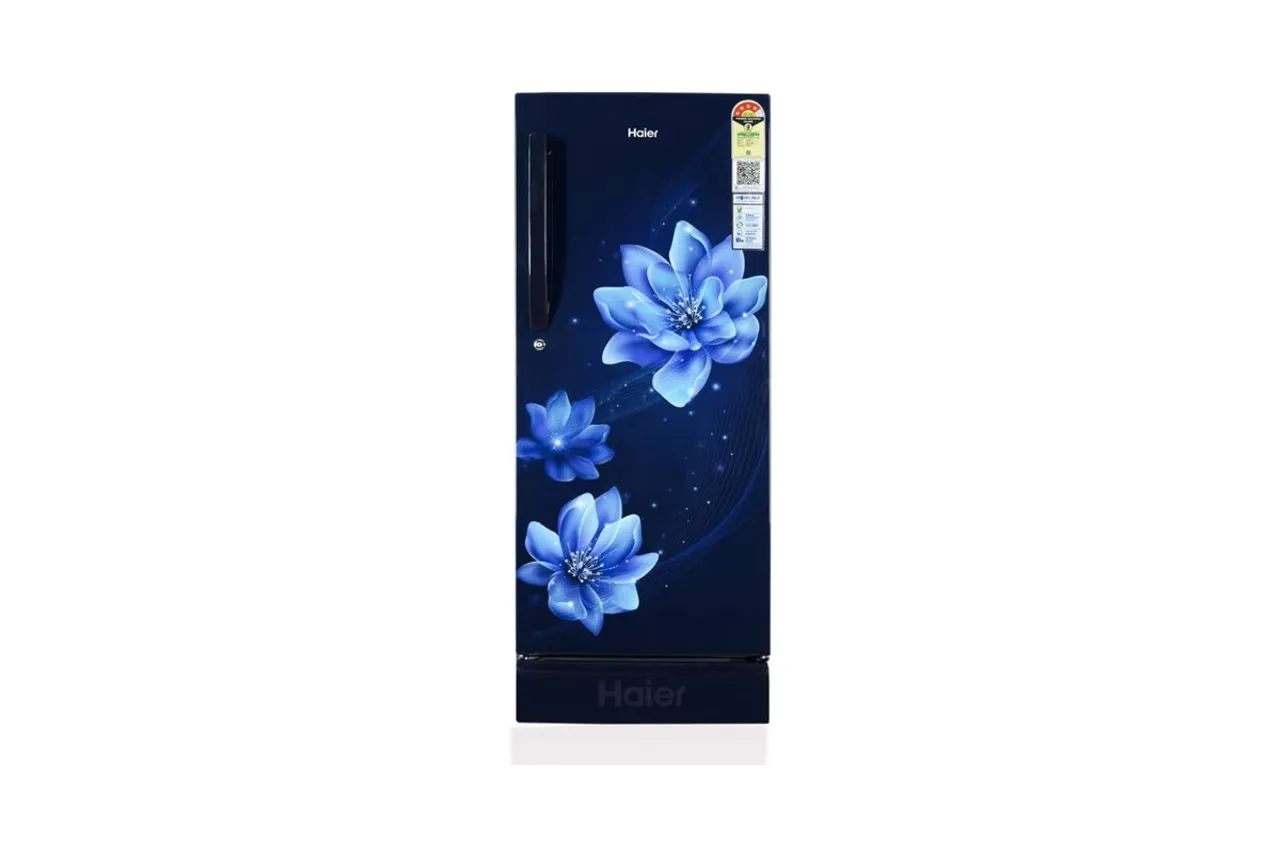 Flipkart sale