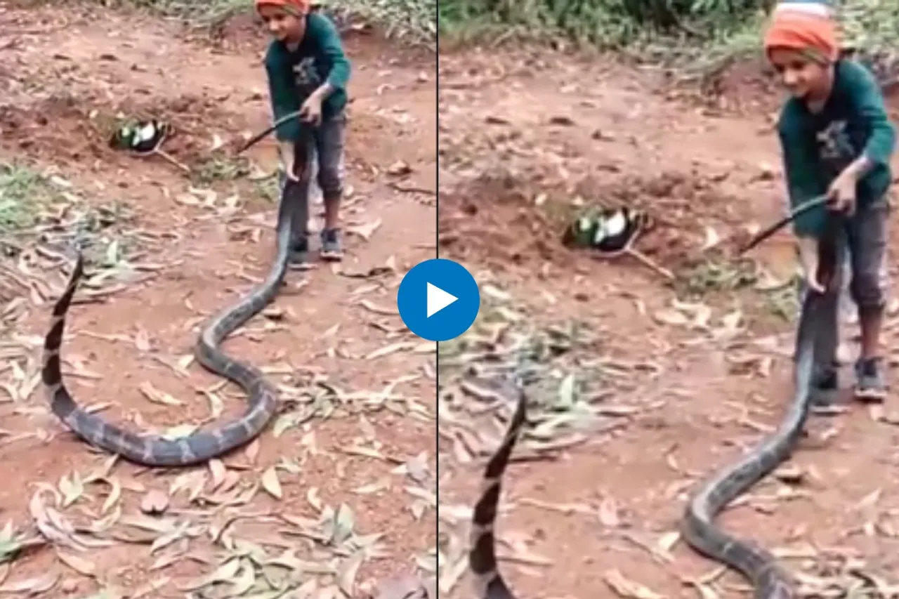 Viral Video