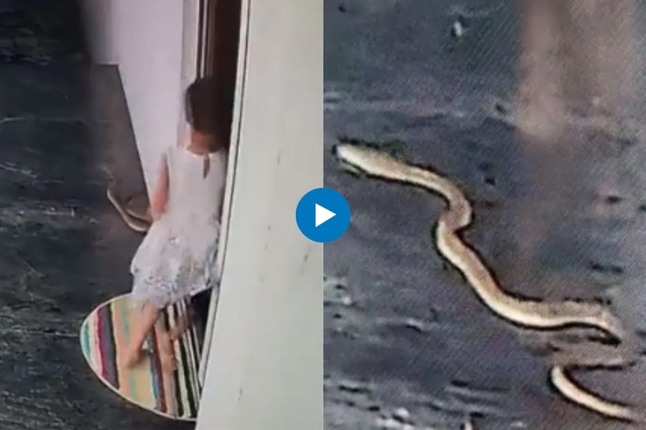 Viral Video