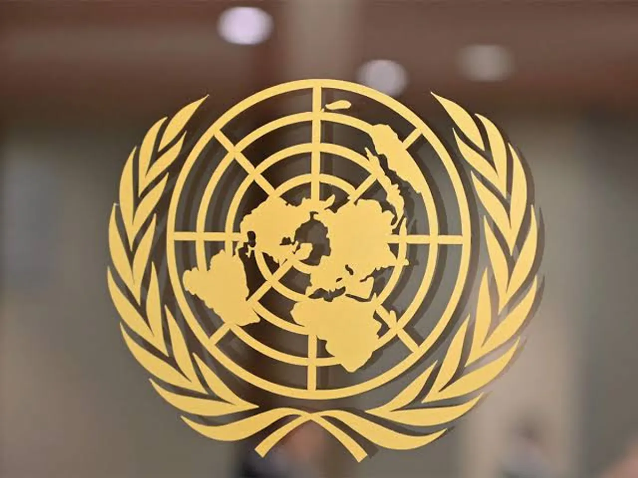 UN report