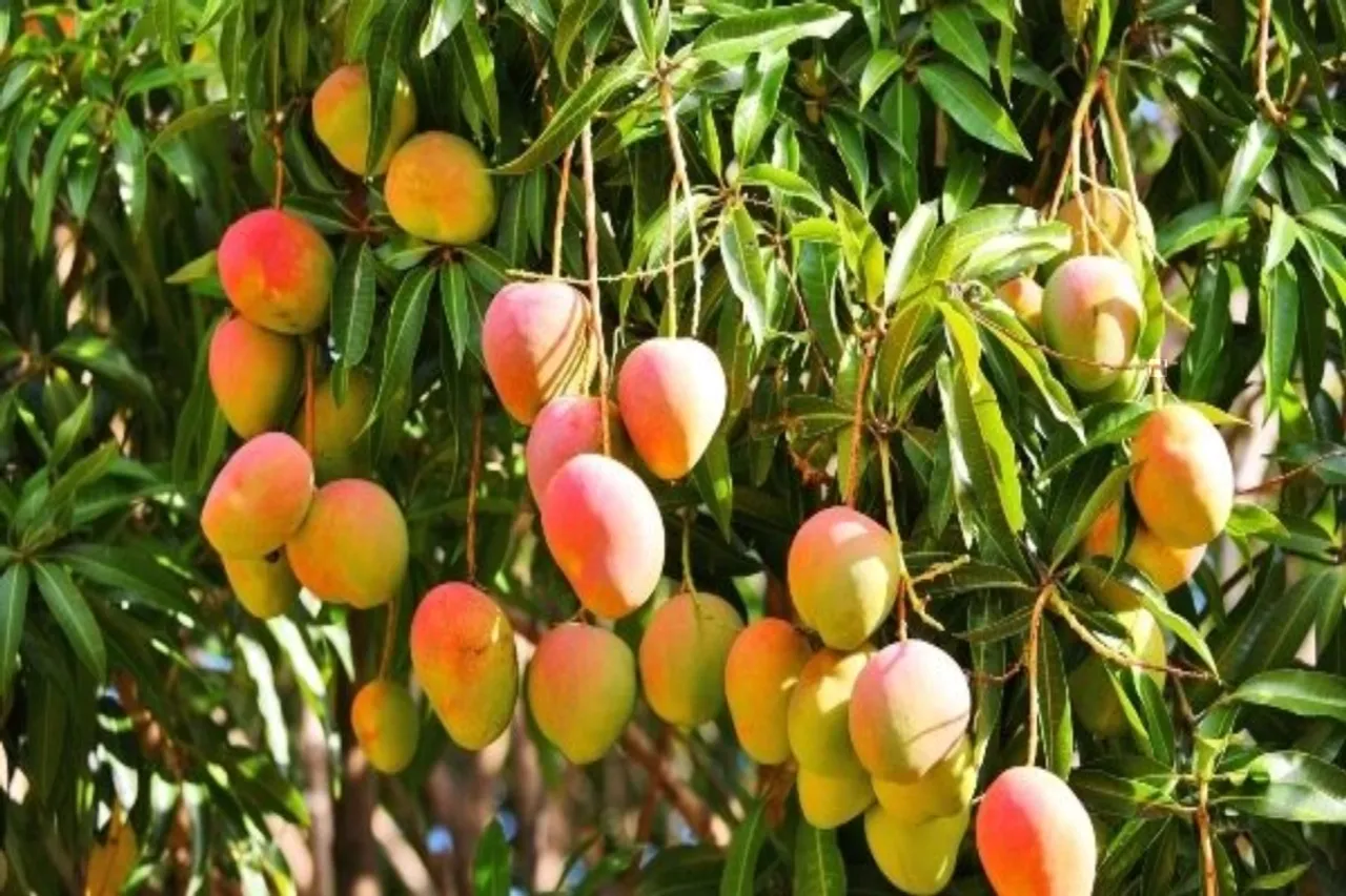 Odisha: