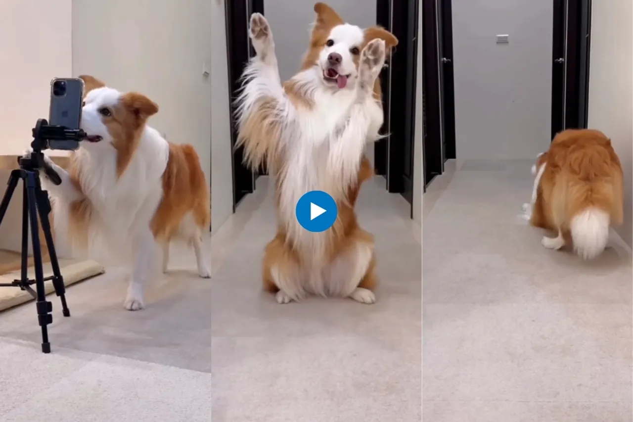 Viral video