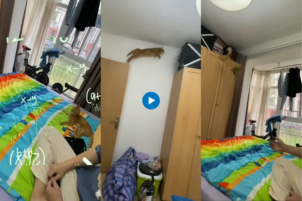 Viral video