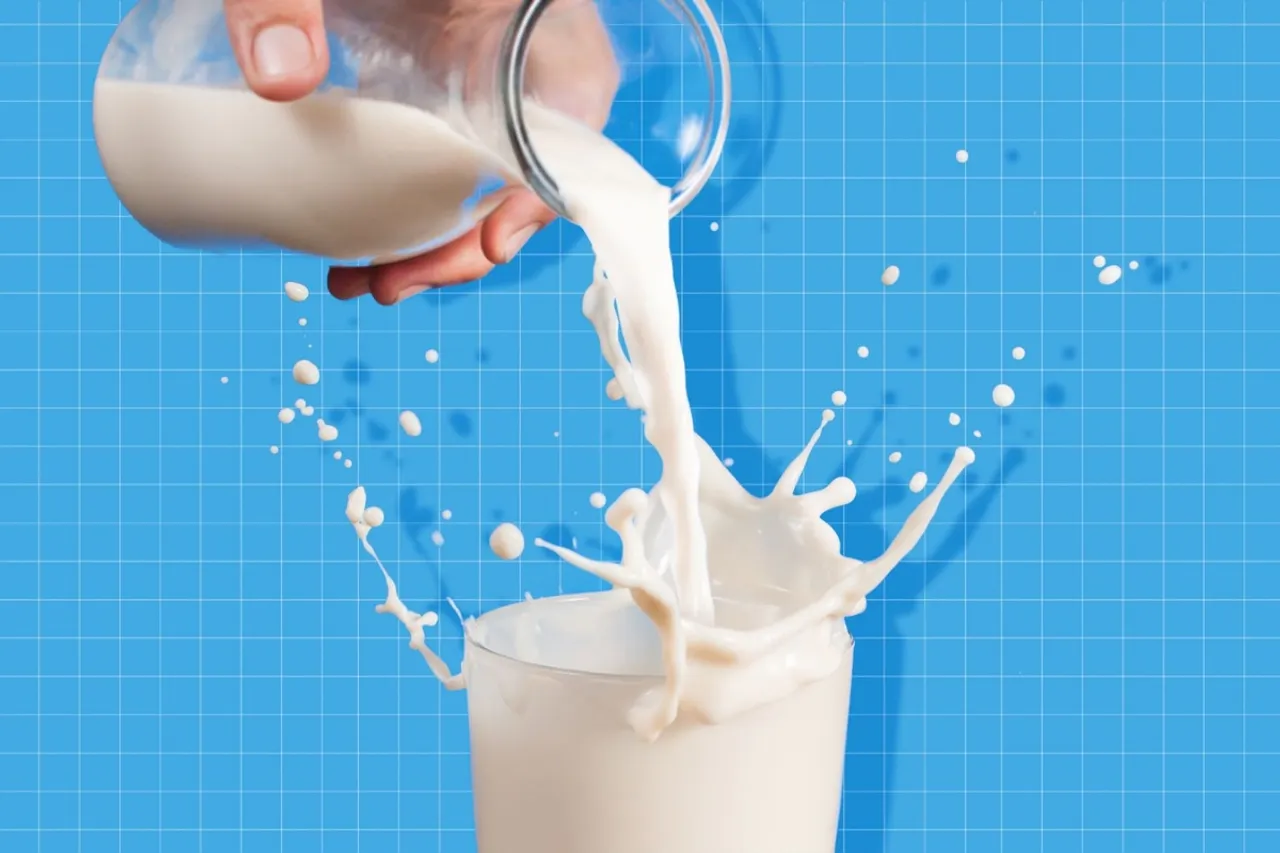 World Milk Day 2023