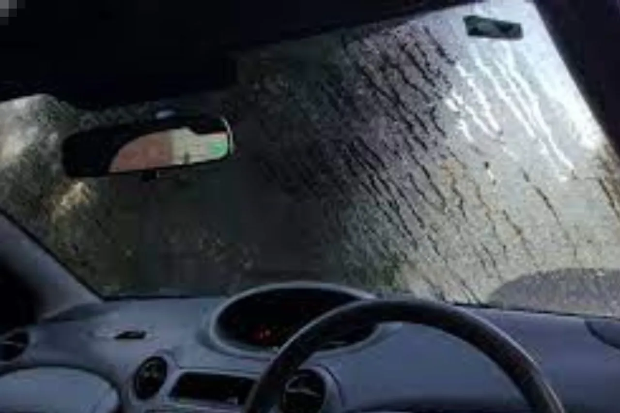 Car Accessories