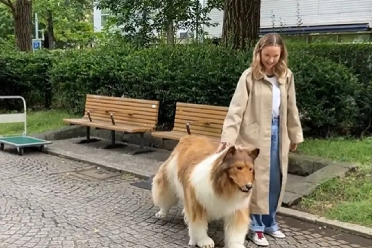 Viral video