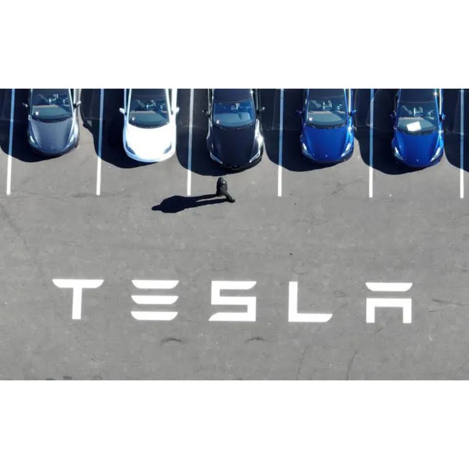 Tesla India