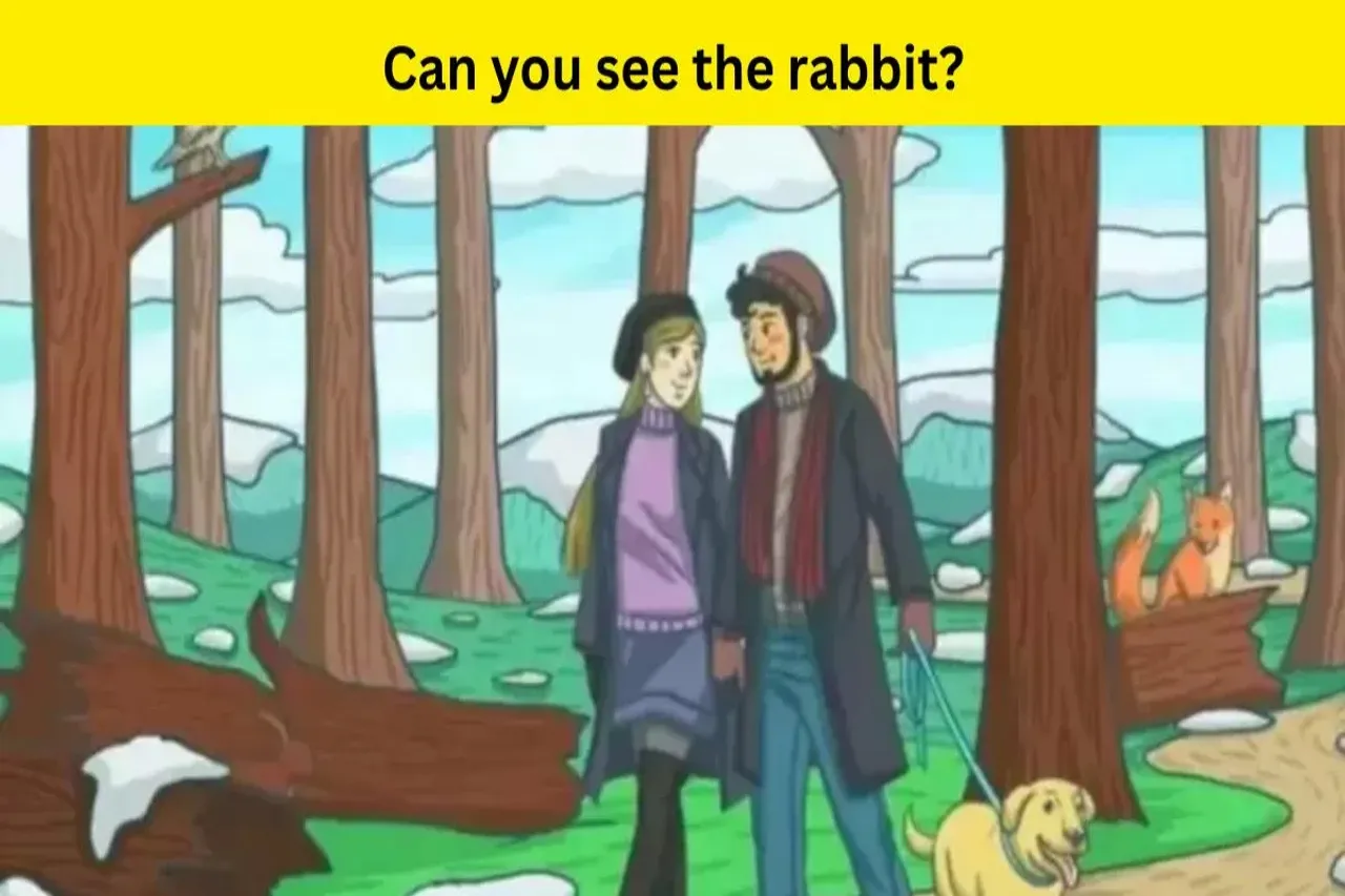 Optical illusion