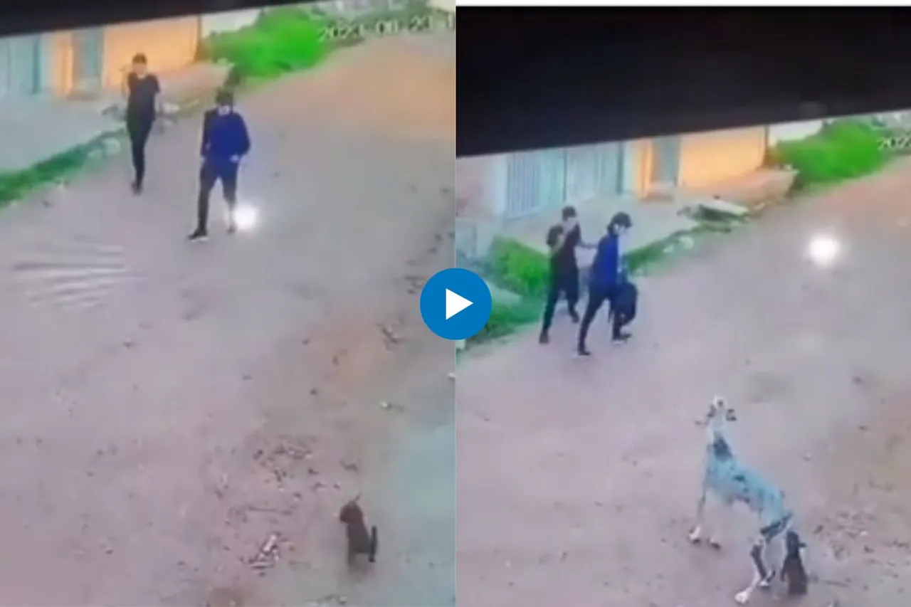 Viral Video