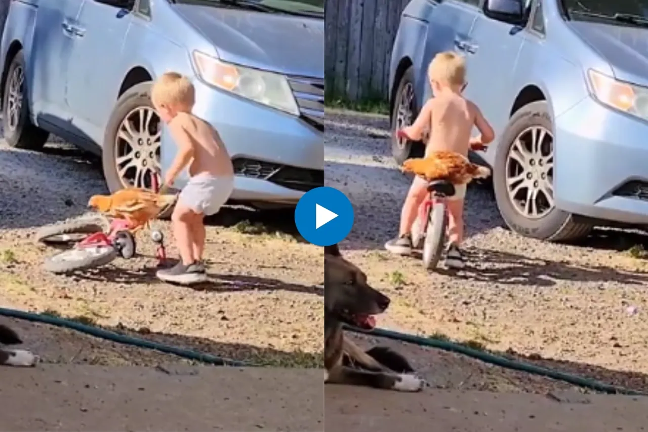 Viral Video