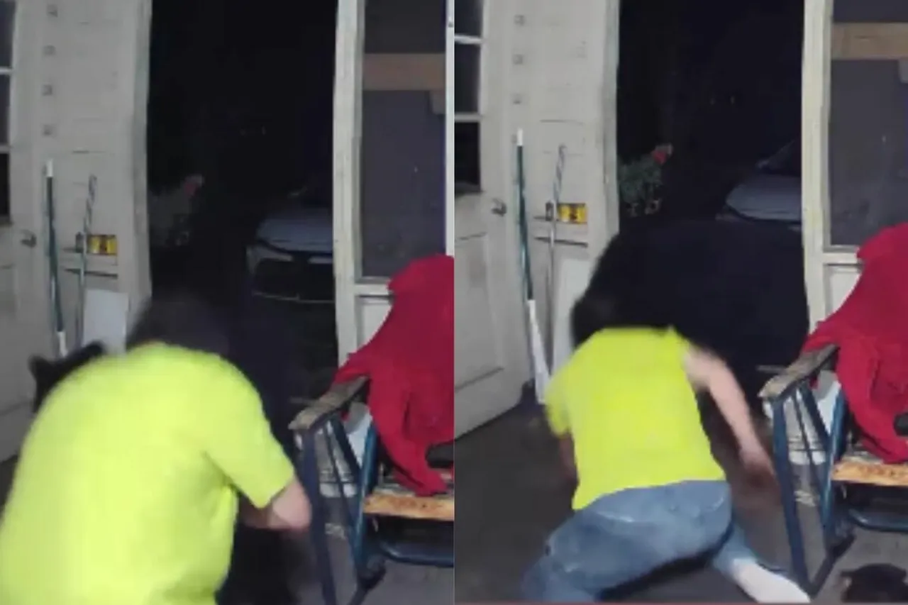 Viral Video