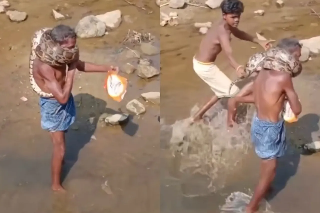Viral video
