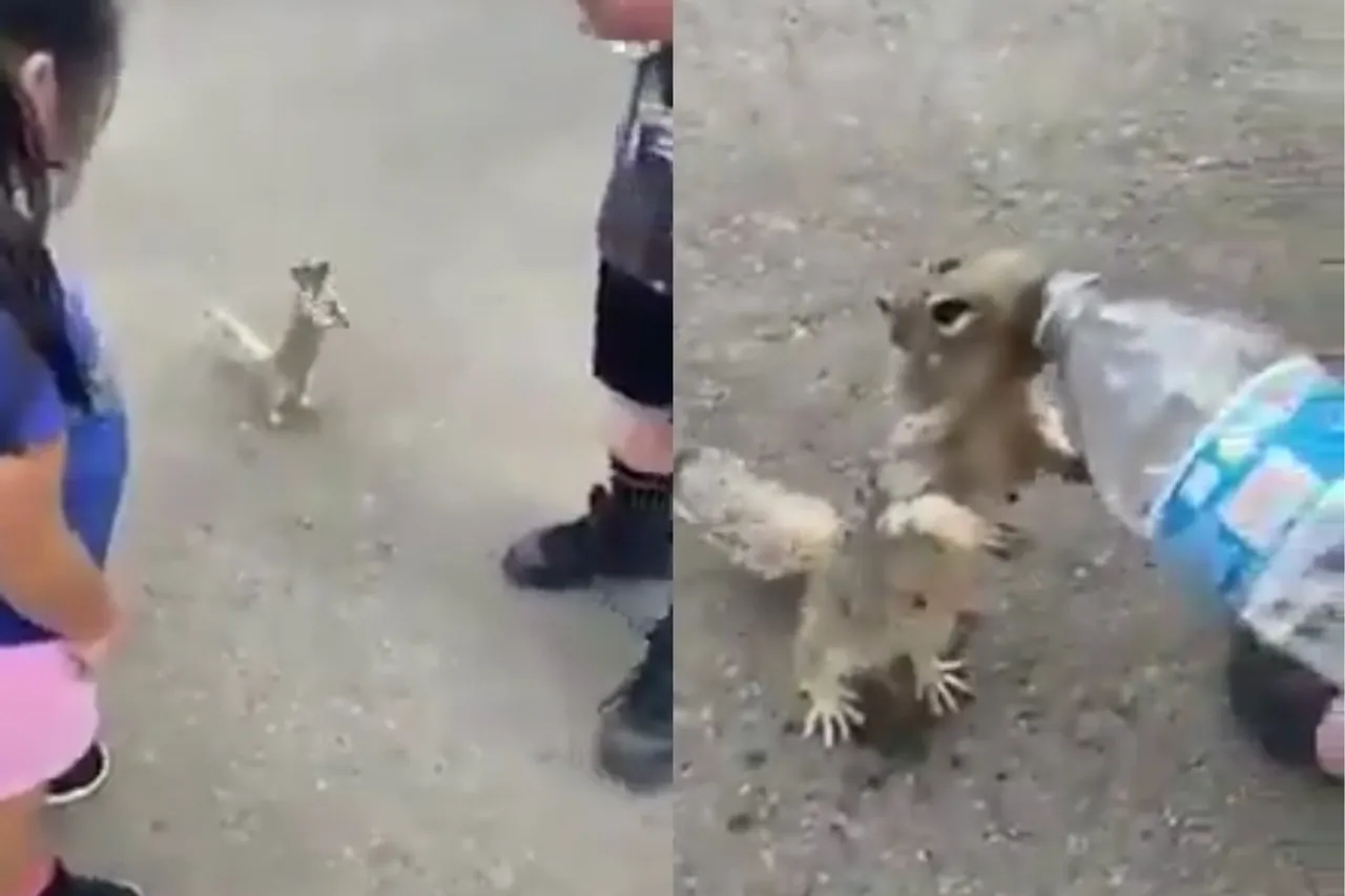 Viral video