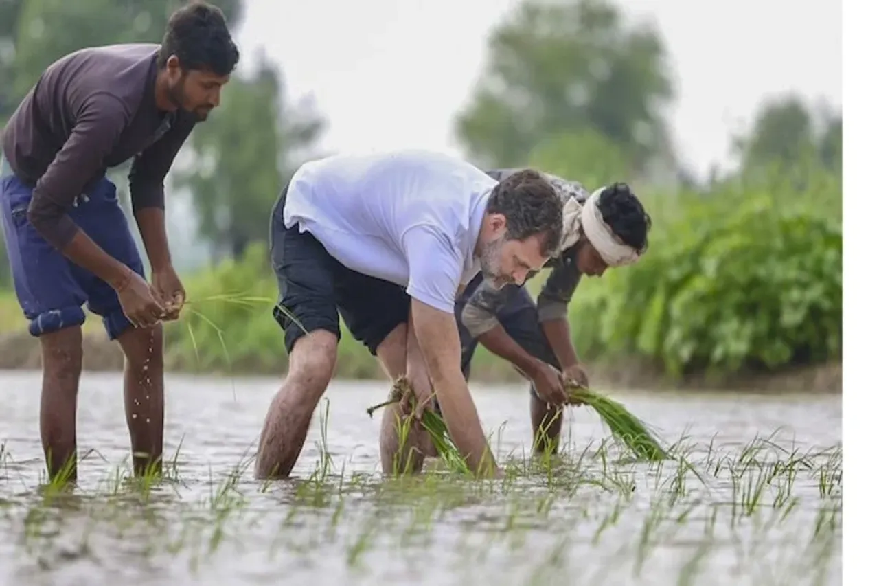 Rahul Gandhi