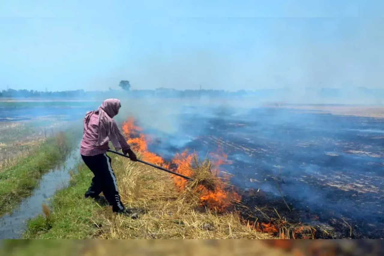 Stubble burning