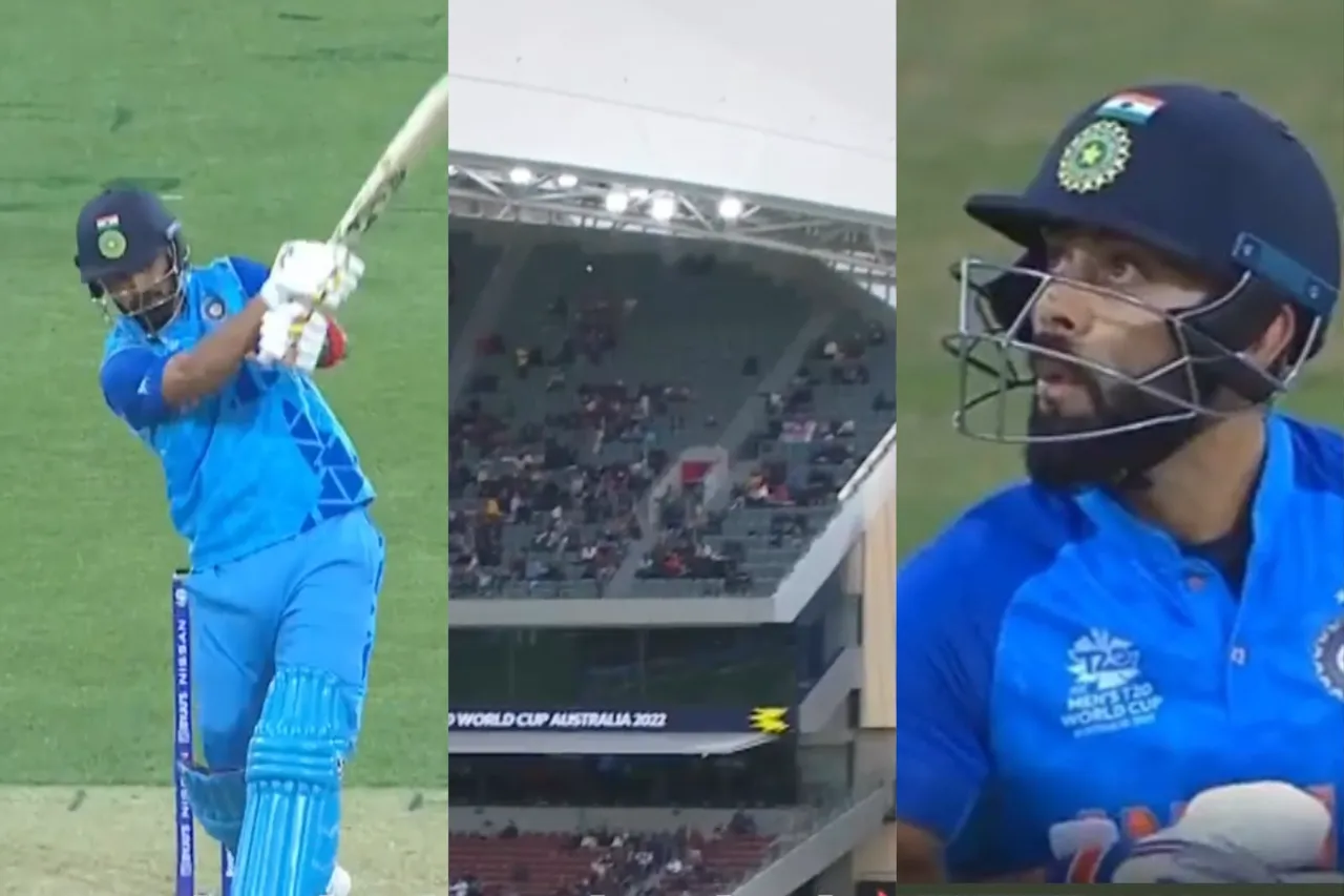 Cricket Viral Video