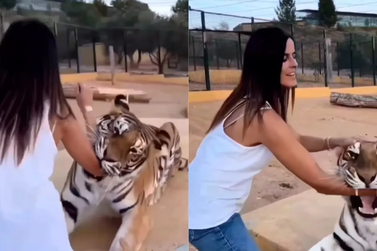 Viral Video