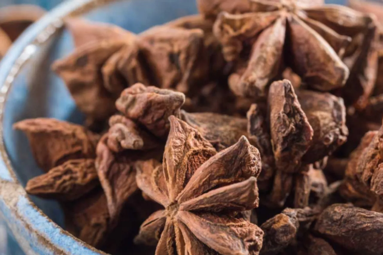 Health benefits of Star Anise