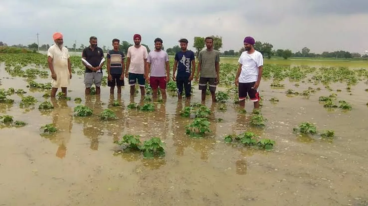 Punjab flood