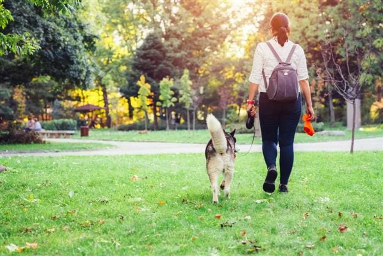 Dog park