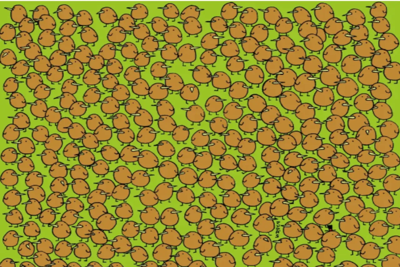 Optical Illusion