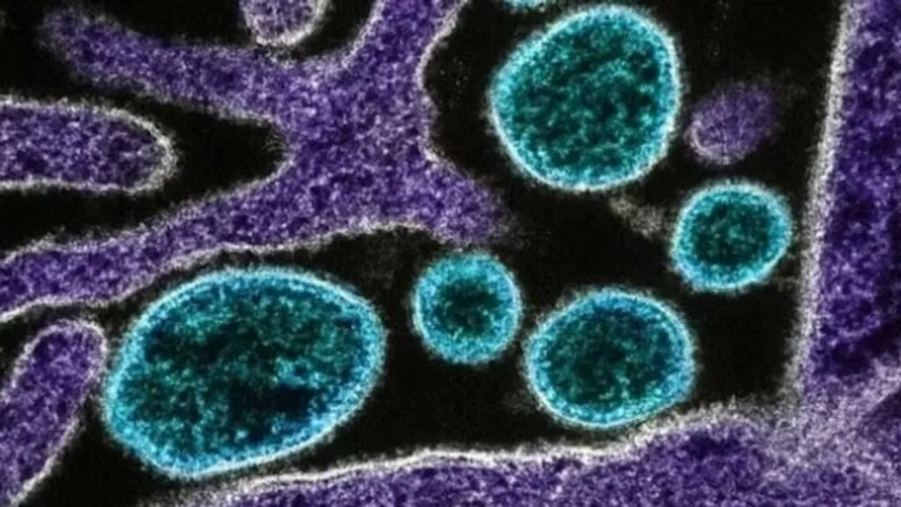 Nipah virus cases