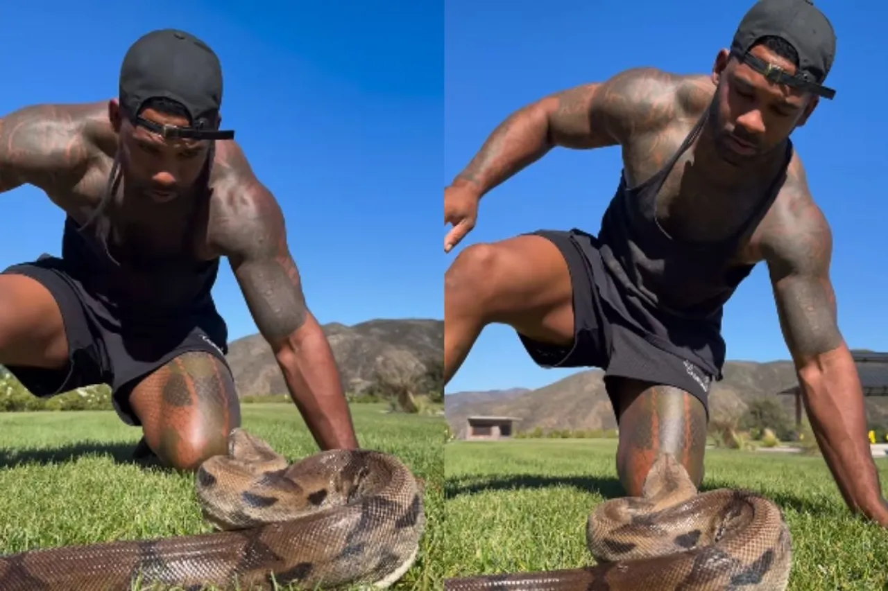 Animal Viral Video